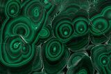 Flowery Polished Malachite Slab - DR Congo #350835-1